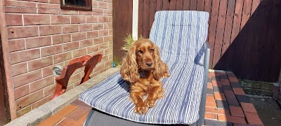 Grooming Van Image
