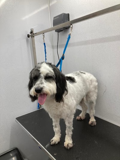 Grooming Van Image