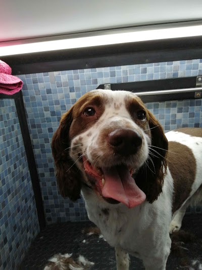 Grooming Van Image