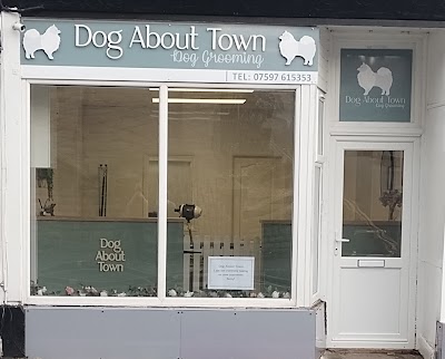 Grooming Van Image