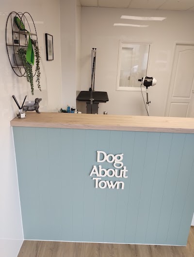 Grooming Van Image