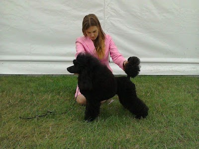 Grooming Van Image