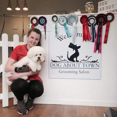 Grooming Van Image