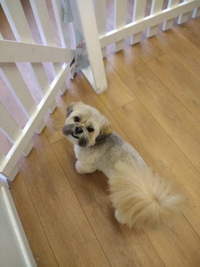 Grooming Van Image
