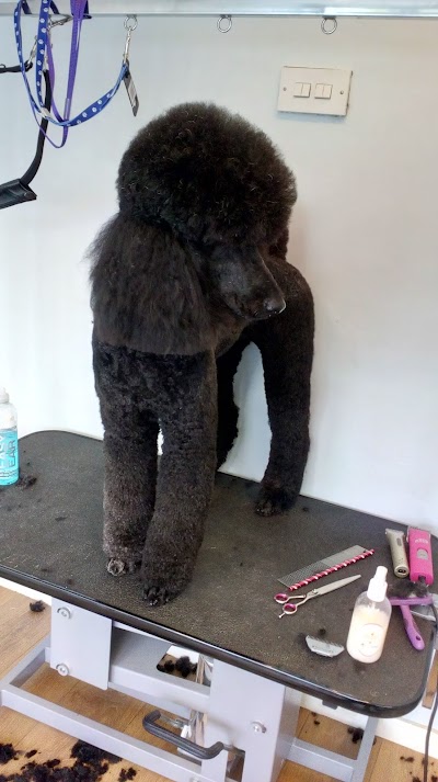 Grooming Van Image