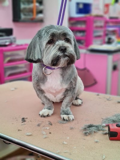 Grooming Van Image