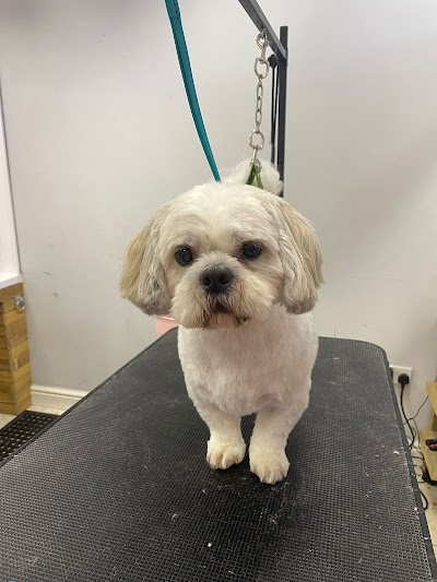 Grooming Van Image