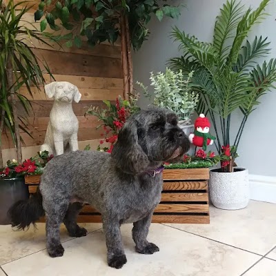 Grooming Van Image