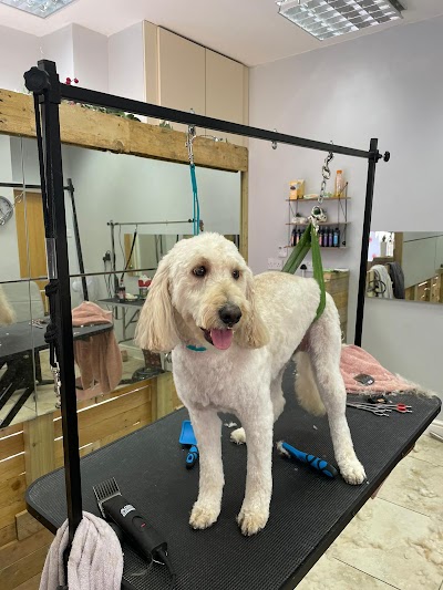Grooming Van Image