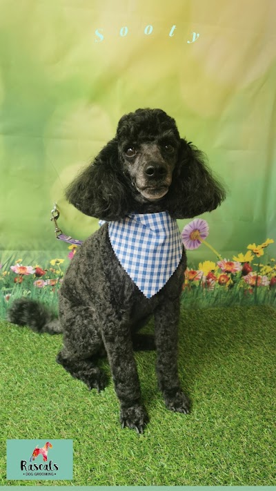 Grooming Van Image