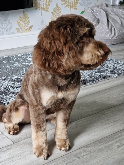 Grooming Van Image