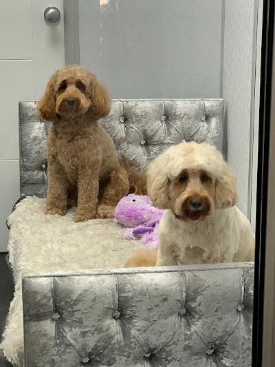 Grooming Van Image