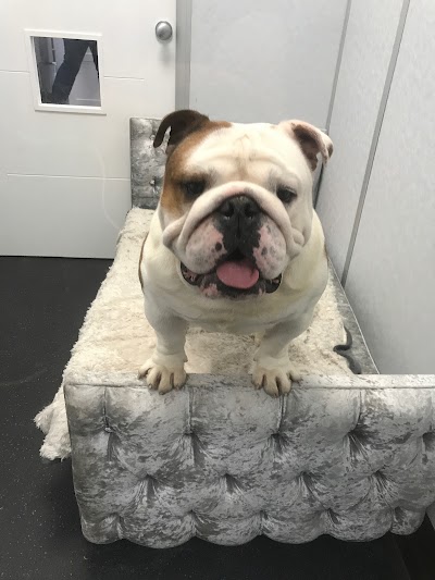 Grooming Van Image