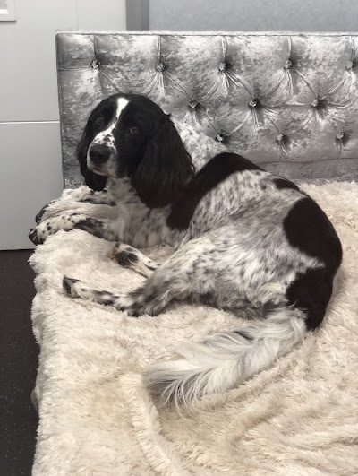 Grooming Van Image