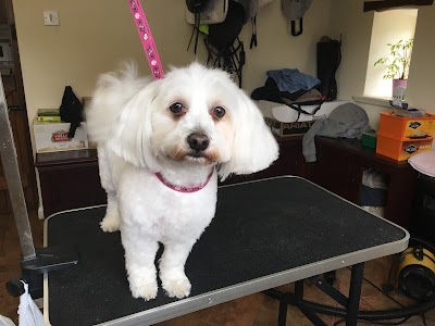 Grooming Van Image