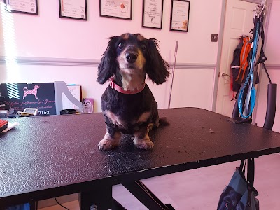 Grooming Van Image