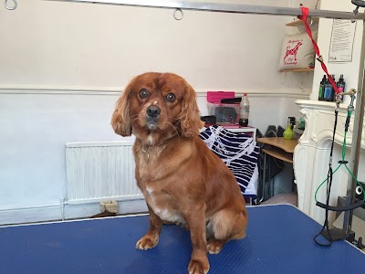 Grooming Van Image