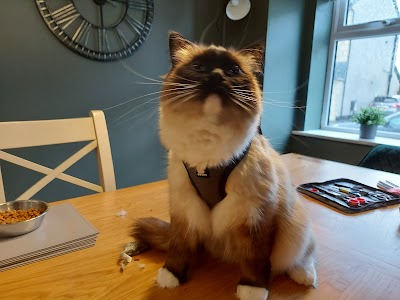 Grooming Van Image