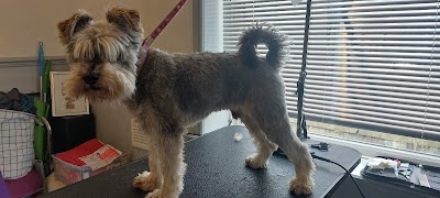Grooming Van Image