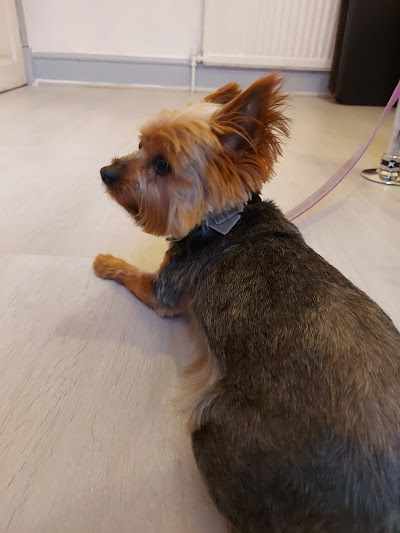 Grooming Van Image
