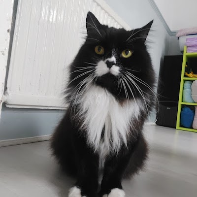Rubydoos Professional Pet Grooming
