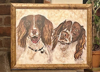 Grooming Van Image