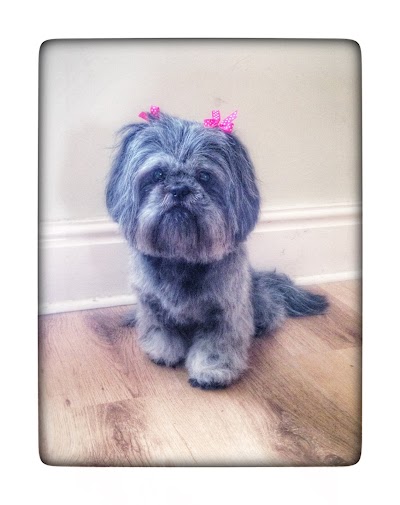 Grooming Van Image