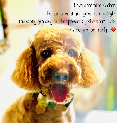 Scragg's Dog Grooming & Pet Portraits