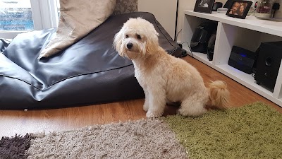Grooming Van Image