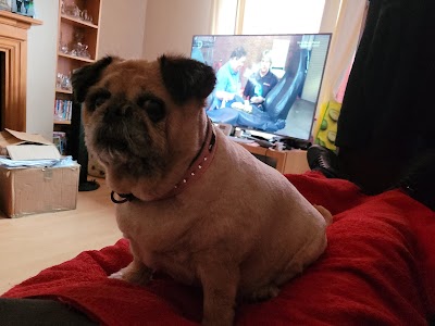 Grooming Van Image
