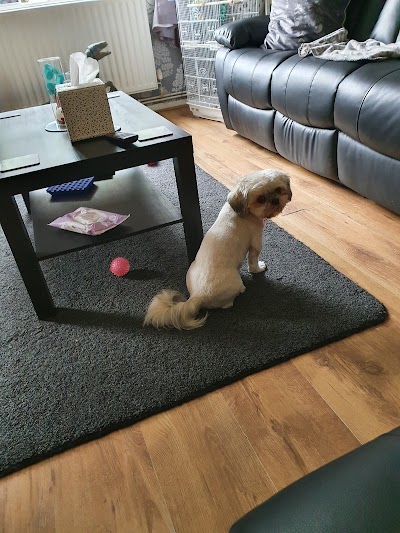 Grooming Van Image