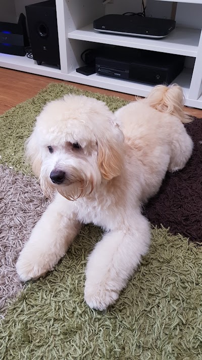 Grooming Van Image