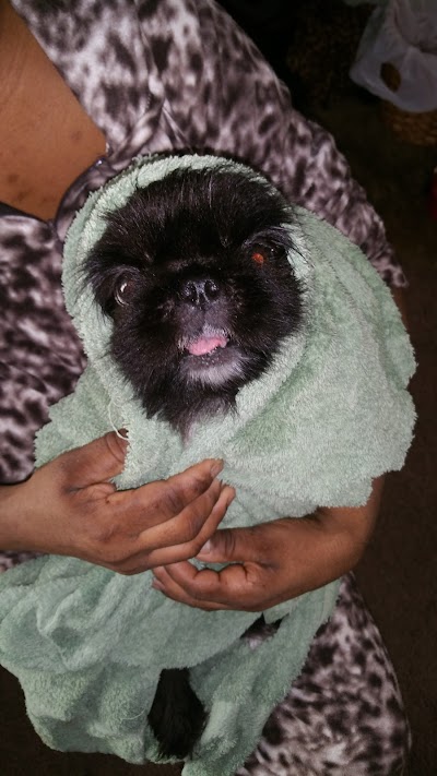 Grooming Van Image