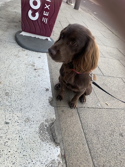 Grooming Van Image