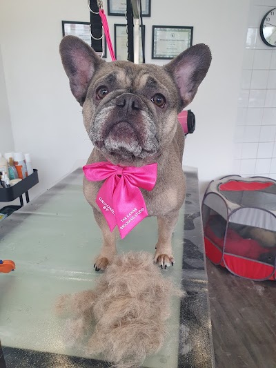 Grooming Van Image
