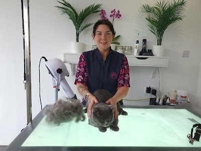 Grooming Van Image