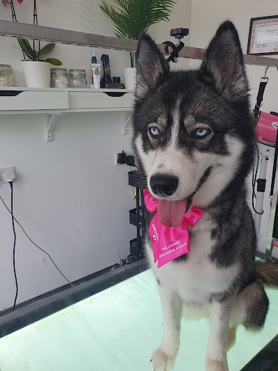 Grooming Van Image