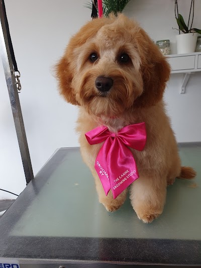 The Canine Grooming Studio