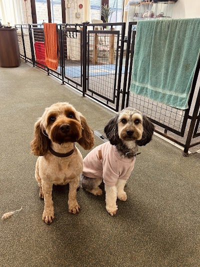 Grooming Van Image