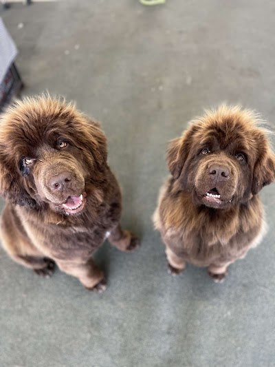 Grooming Van Image