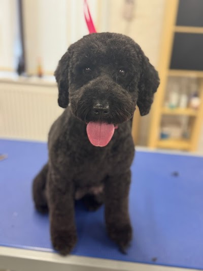 Grooming Van Image