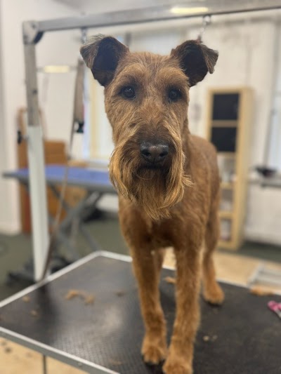Grooming Van Image
