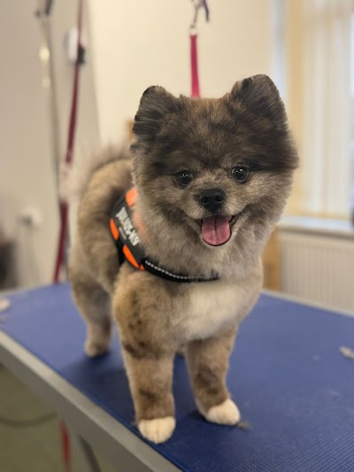 Grooming Van Image