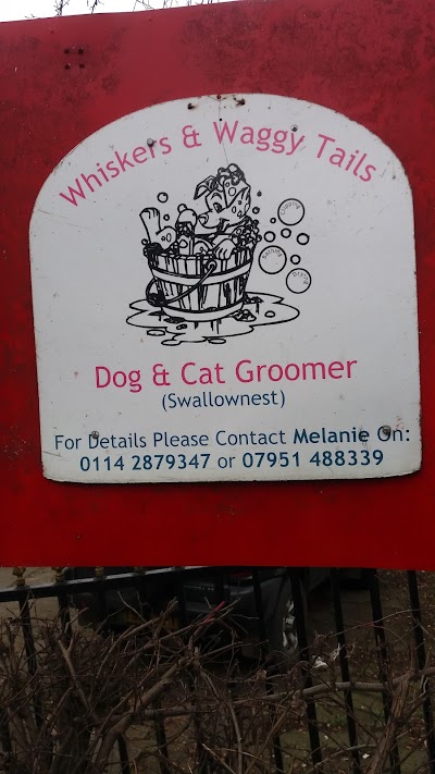 Grooming Van Image