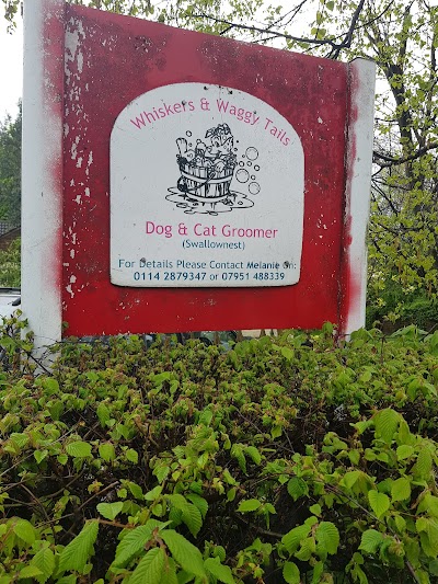 Grooming Van Image