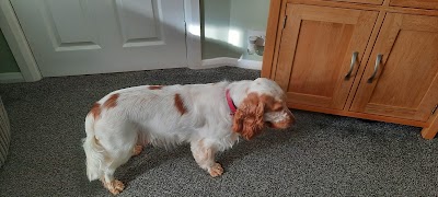 Grooming Van Image