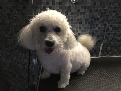 Grooming Van Image