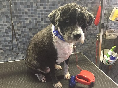 Grooming Van Image