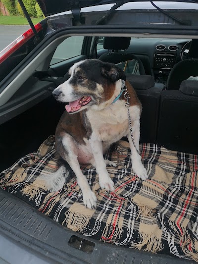Grooming Van Image